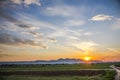 Landscape  at the sunset in the springtime Royalty Free Stock Photo