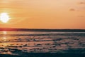 Landscape sunset sun on the beach, horizontal background image Royalty Free Stock Photo