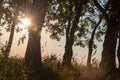 Landscape with sunset. The sun at sunset, warm, juicy, pastel colors of the contour photo.