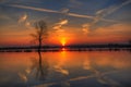 Landscape sunset or sundown river Narew Poland Europe spring time meadows under water Royalty Free Stock Photo