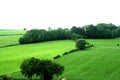 Landscape in the surroundings of Trintelen