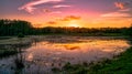 Louisiana swamp sunset and silhouettes Royalty Free Stock Photo