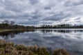 Landscape with a swampy lake shore, swamp birches, dry grass and reeds, cloudy day