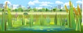 Landscape with a swampy shore of a lake or river. Coast is overgrown with grass, reeds and cattails. View of the city
