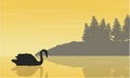 Landscape of swan on lake silhouettes collection Royalty Free Stock Photo