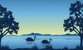 Landscape of swan on lake silhouettes