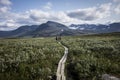 Landscape in the Swedish Lapland. Kungsleden