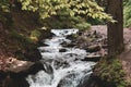 Landscape of swift mountain river with rocks and stones among green trees Royalty Free Stock Photo