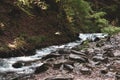 Landscape of swift mountain river with rocks and stones among green trees in forrest Royalty Free Stock Photo