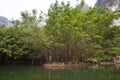Landscape of Tam Coc national park Royalty Free Stock Photo