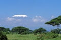 Landscape in Tanzania near the Kilimandjaro Mountain
