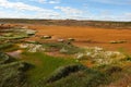 Landscape tarnished with copper mining residue