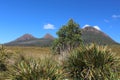 Landscape Tasmania, Australia Royalty Free Stock Photo