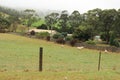 Landscape of Tasmania Country side Royalty Free Stock Photo