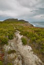 Landscape in Tasmania Royalty Free Stock Photo