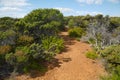 Landscape in Tasmania Royalty Free Stock Photo