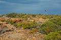 Landscape in Tasmania Royalty Free Stock Photo