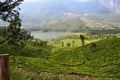 Landscape tea garden of munnar, kerala Royalty Free Stock Photo