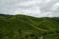 Landscape of tea plantation in Cameron Highland, Malaysia Royalty Free Stock Photo