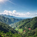 Landscape with The tea plantations background. landscape with mountain and clouds. areal view of the forest. aerial Royalty Free Stock Photo