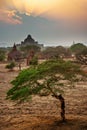 Landscape of temples in Bagan at sunset, Burma Myanmar Royalty Free Stock Photo