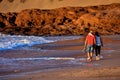 Landscape in Tenerfe Tropical Volcanic Canary Islands Spain