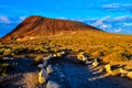 Landscape in Tenerfe Tropical Volcanic Canary Islands Spain