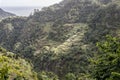 Terraced fields on green slope near Faial, Madeira