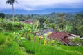 Landscape of terraced rice fields in Sukabumi, West Java, Indonesia