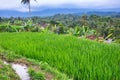 Landscape of terraced rice fields in Sukabumi, West Java, Indonesia Royalty Free Stock Photo