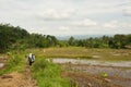 Landscape of terraced rice fields in Sukabumi, West Java, Indonesia