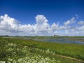 Landscape at Texel Royalty Free Stock Photo