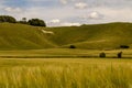 Landscape view of a chalk white horse on the hillside in Wiltshire, UK.