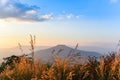 Landscape Thailand beautiful mountain scenery view on hill with tree grass yellow field and sunset at Loei or Fuji of Thailand Royalty Free Stock Photo