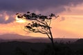 Landscape of Thailand, Dusk sky