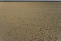 Landscape with Thar dessert enpty, flat, arid and deserted