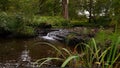 Small waterfall on a forest river Royalty Free Stock Photo