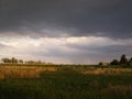 Landscape thunderclouds over the field and trees in a summer day in the village