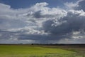 Landscape with thunderstorm and rain - dark blue fluffy clouds in sunny spring day above lush green pasture in motion. Beautiful. Royalty Free Stock Photo