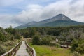 Landscape of the Tierra del Fuego National Park, Argentina Royalty Free Stock Photo