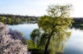 Landscape of Tineretului park, Bucharest. Royalty Free Stock Photo