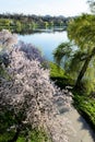 Landscape of Tineretului park, Bucharest. Royalty Free Stock Photo