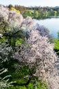 Landscape of Tineretului park, Bucharest. Royalty Free Stock Photo