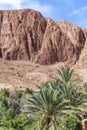 a landscape of the tinghir valley in southern morocco