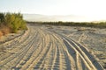 Landscape with tire tracks in beach road tropical morning Baja, Mexico