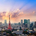 Landscape of tokyo skyline in Aerial view with skyscraper, modern office building and sunset sky background in Tokyo Royalty Free Stock Photo