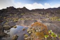 Landscape on the Top of Mount Roraima, Venezuela Royalty Free Stock Photo
