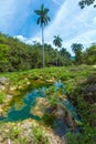 Landscape of Topes de Collantes, Cuba Royalty Free Stock Photo