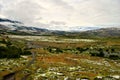 Landscape of Torres del Paine