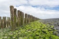 Landscape with traditional wooden pillars at the Dutch coast, province of Zeeland, North Sea on the horizon Royalty Free Stock Photo